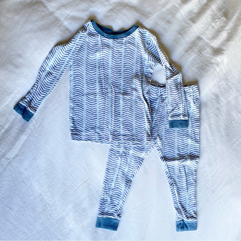 Burt’s Bees Pajamas - Blue Geometric Pattern 2T